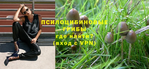 ПСИЛОЦИБИНОВЫЕ ГРИБЫ Абдулино