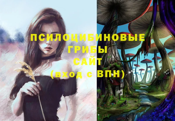 ПСИЛОЦИБИНОВЫЕ ГРИБЫ Абдулино