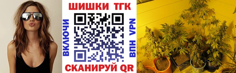 купить наркотики цена  KRAKEN зеркало  Шишки марихуана THC 21%  Вышний Волочёк 